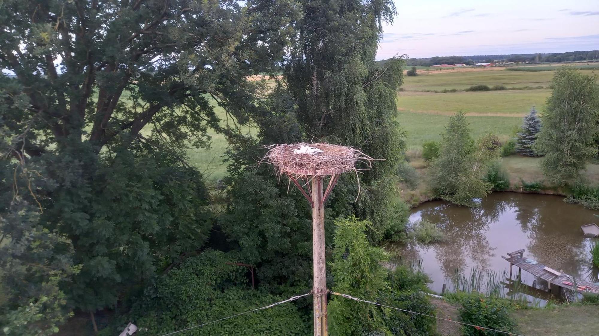 Apartmán Dom Do Wynajecia Bocianie Gniazdo Augustów Exteriér fotografie